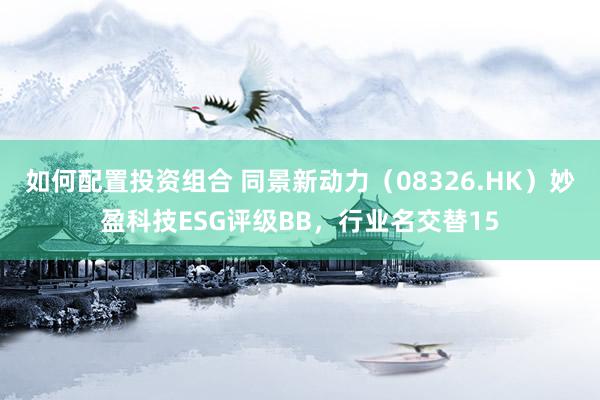 如何配置投资组合 同景新动力（08326.HK）妙盈科技ESG评级BB，行业名交替15