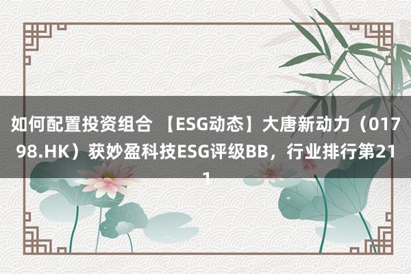 如何配置投资组合 【ESG动态】大唐新动力（01798.HK）获妙盈科技ESG评级BB，行业排行第21